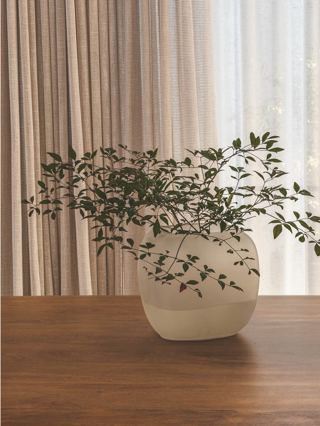 Mira Vase Medium in Pearl