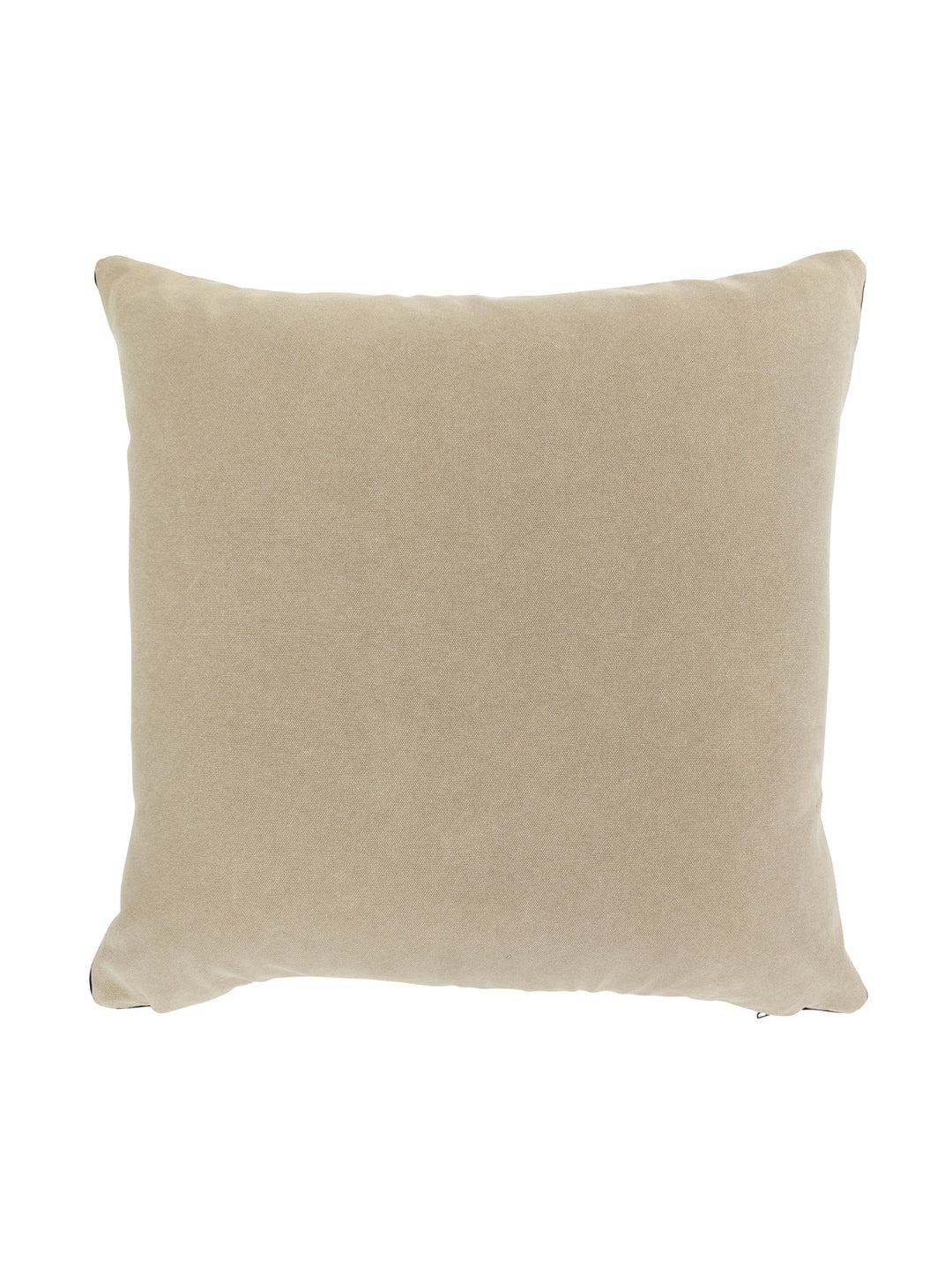 Montana Scatter in Desert