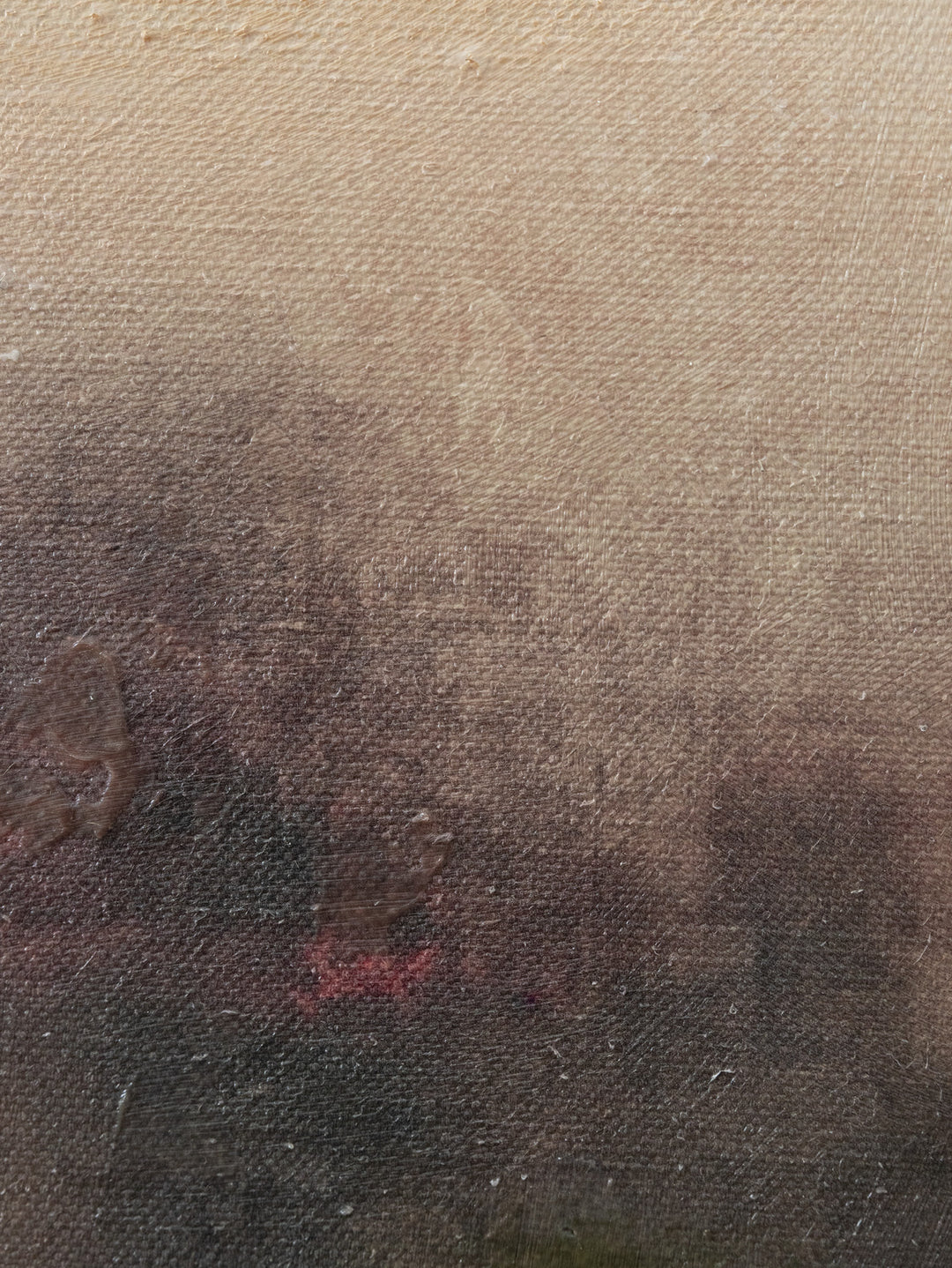 Mooring Mist Wall Art in Umber