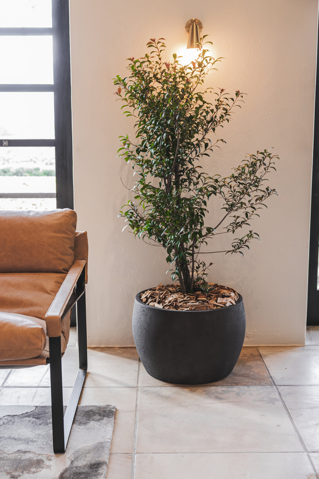 Oasis Planter