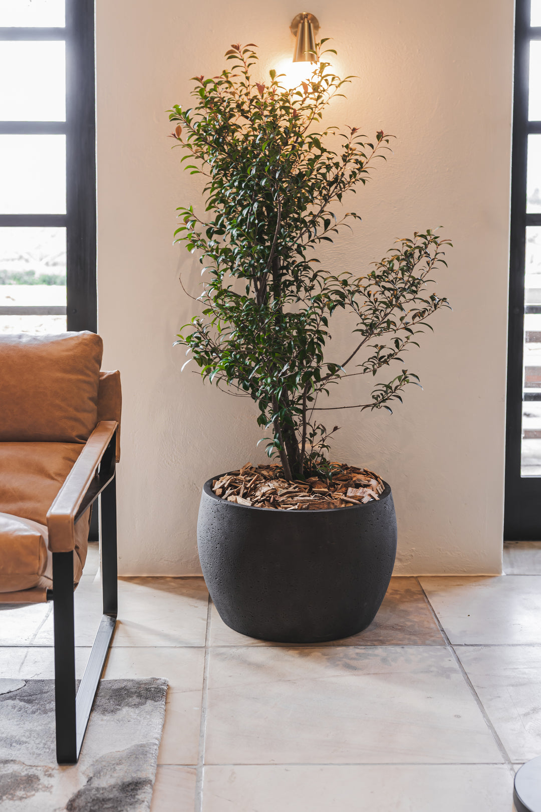 Oasis Planter