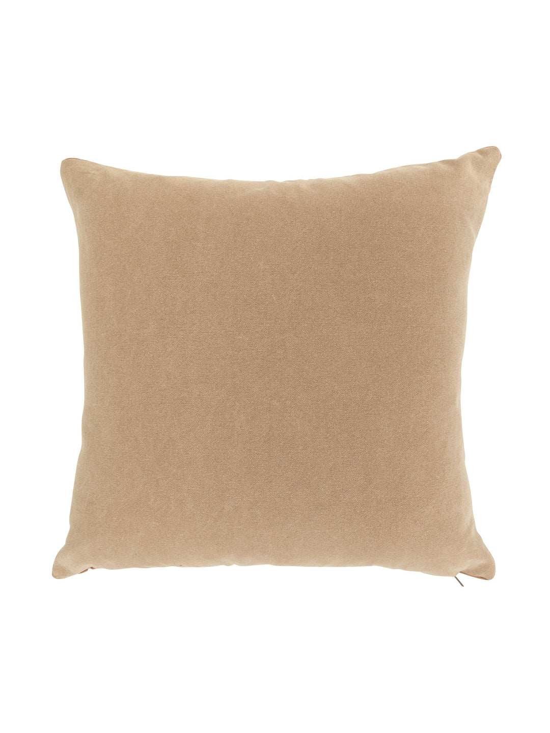 Outlander Scatter in Canyon