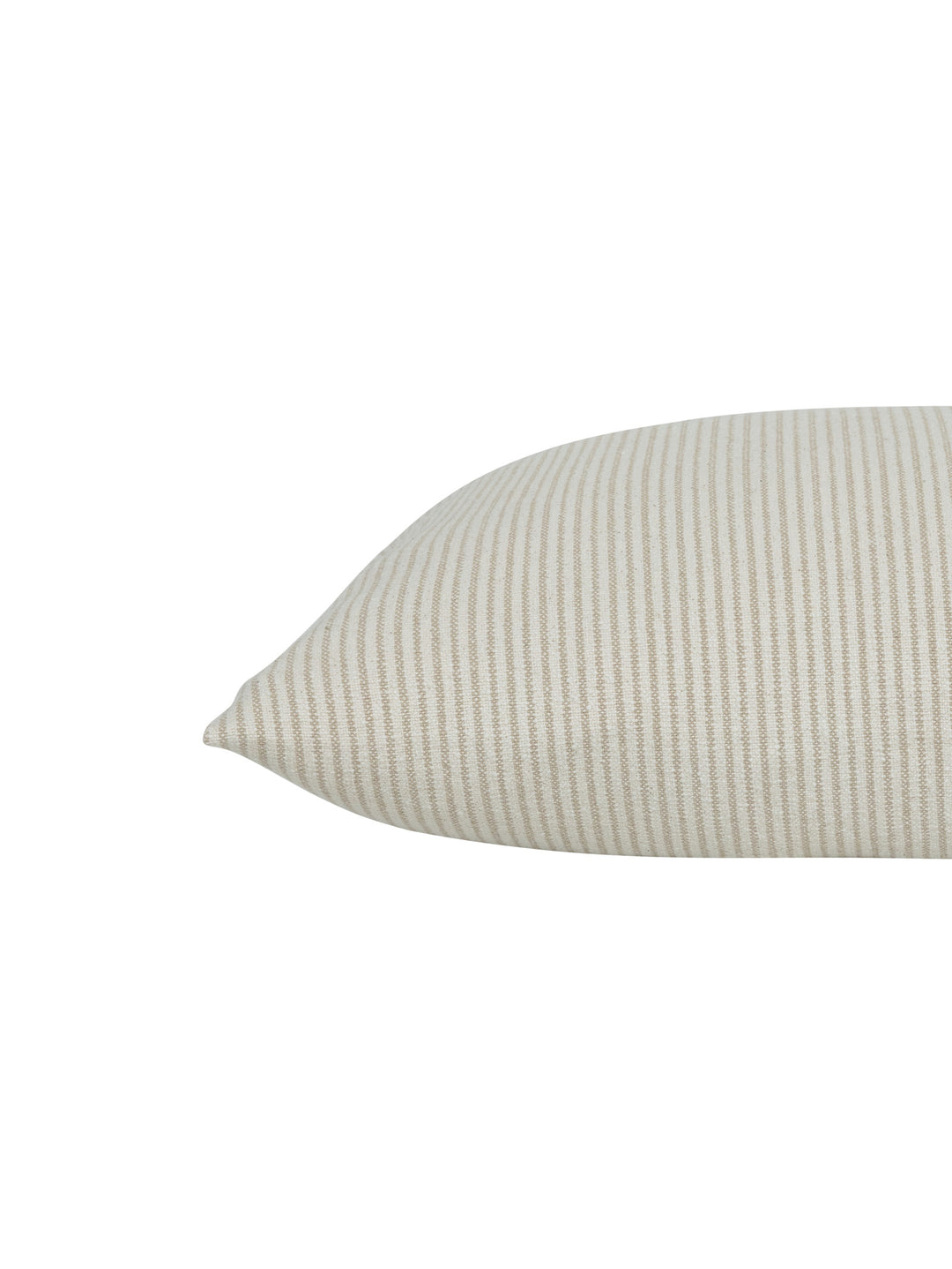 Palos Scatter in Shell