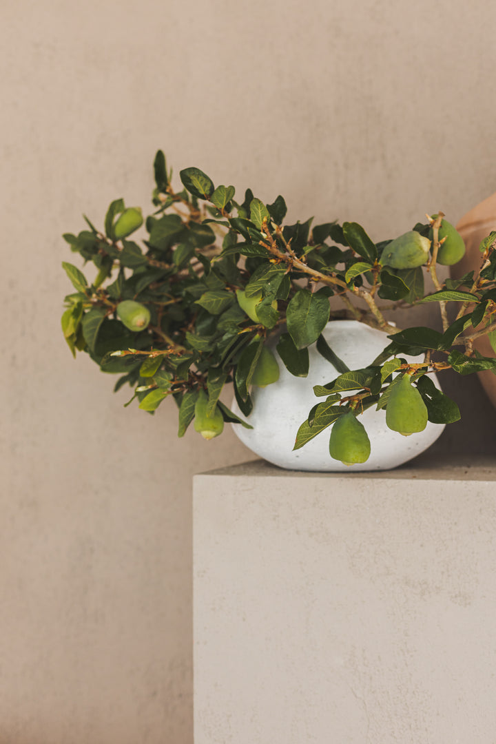 Pebble Vase