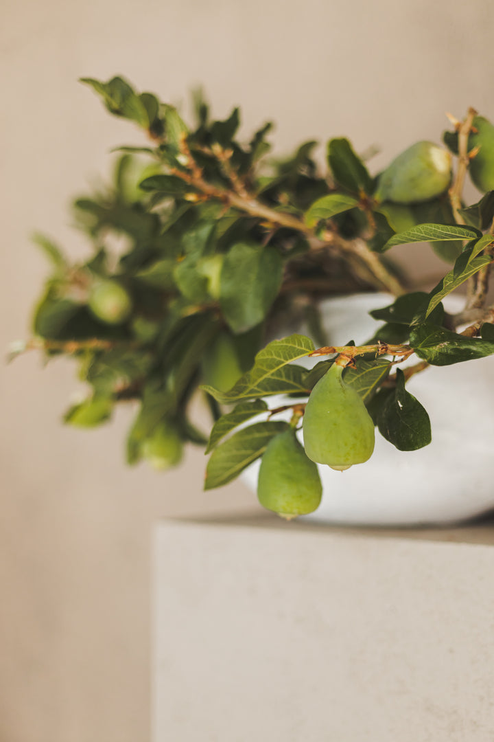 Pebble Vase
