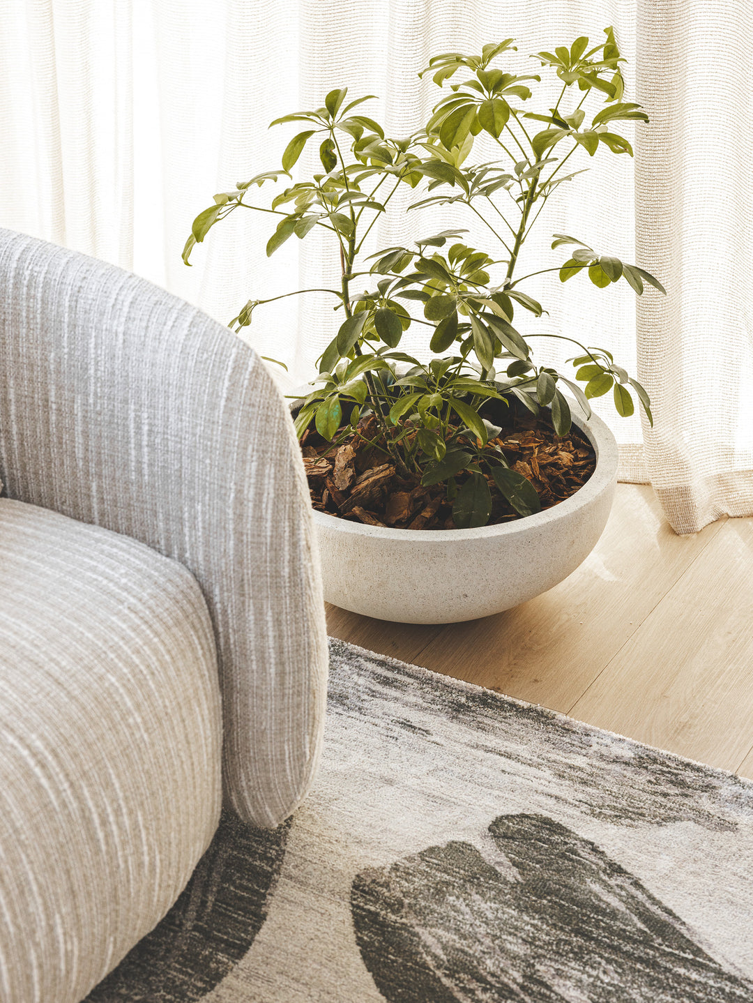Platue Planter