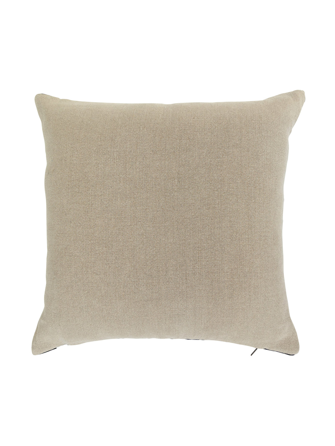 Poncho Scatter in Eclipse