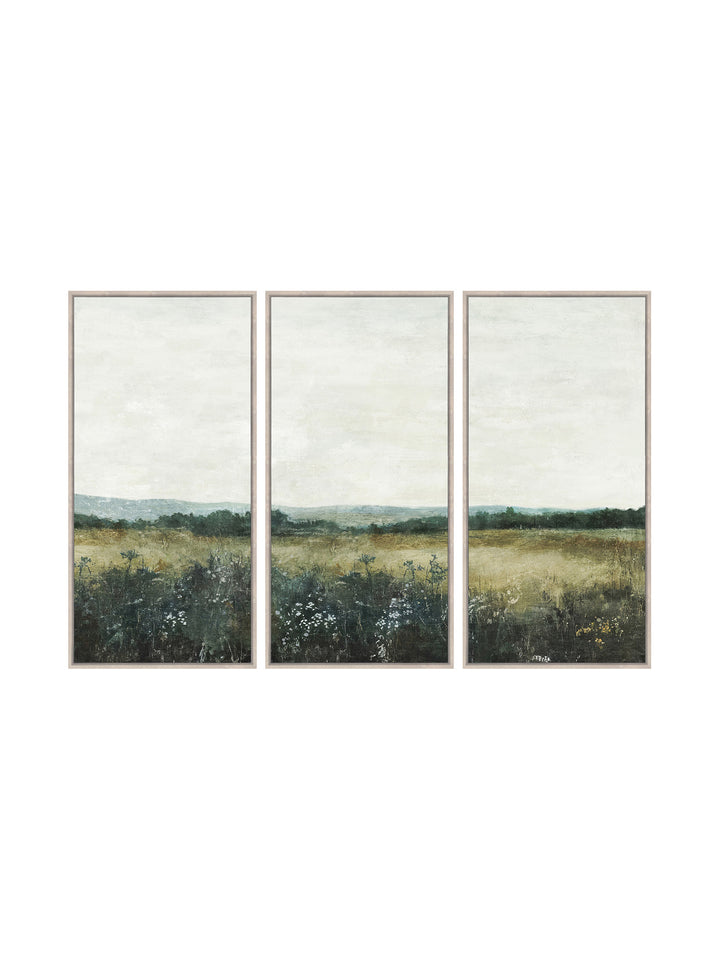 Prince Albert Wall Art Set of 3 in Fynbos