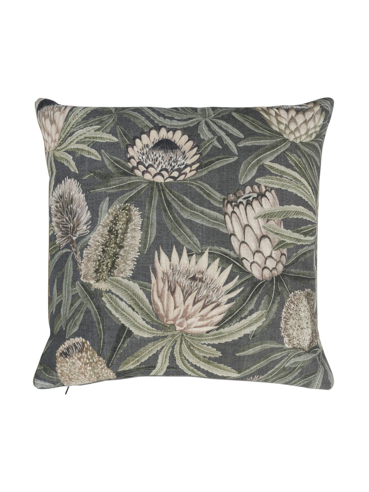 Protea King Scatter in Eclipse