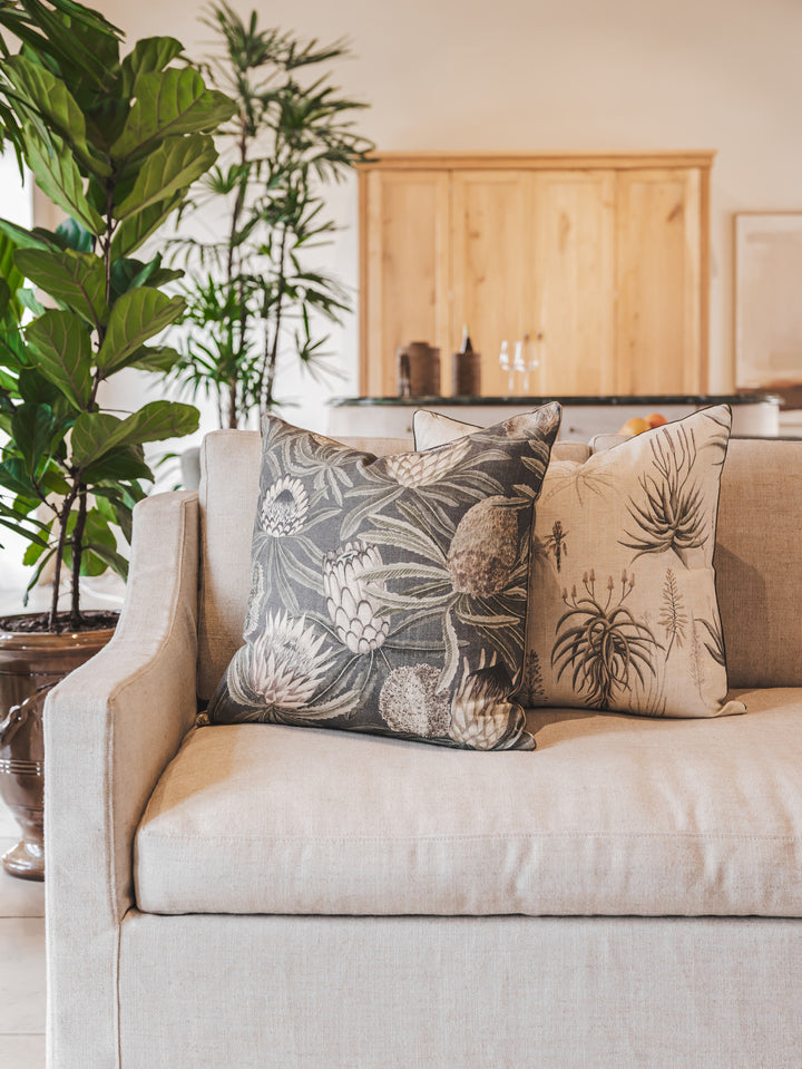 Protea King Scatter in Eclipse