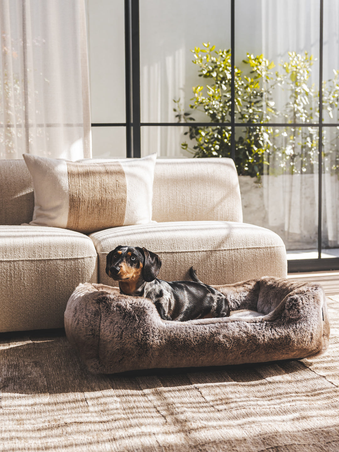 Rover Faux Fur Pet Bed in Coco