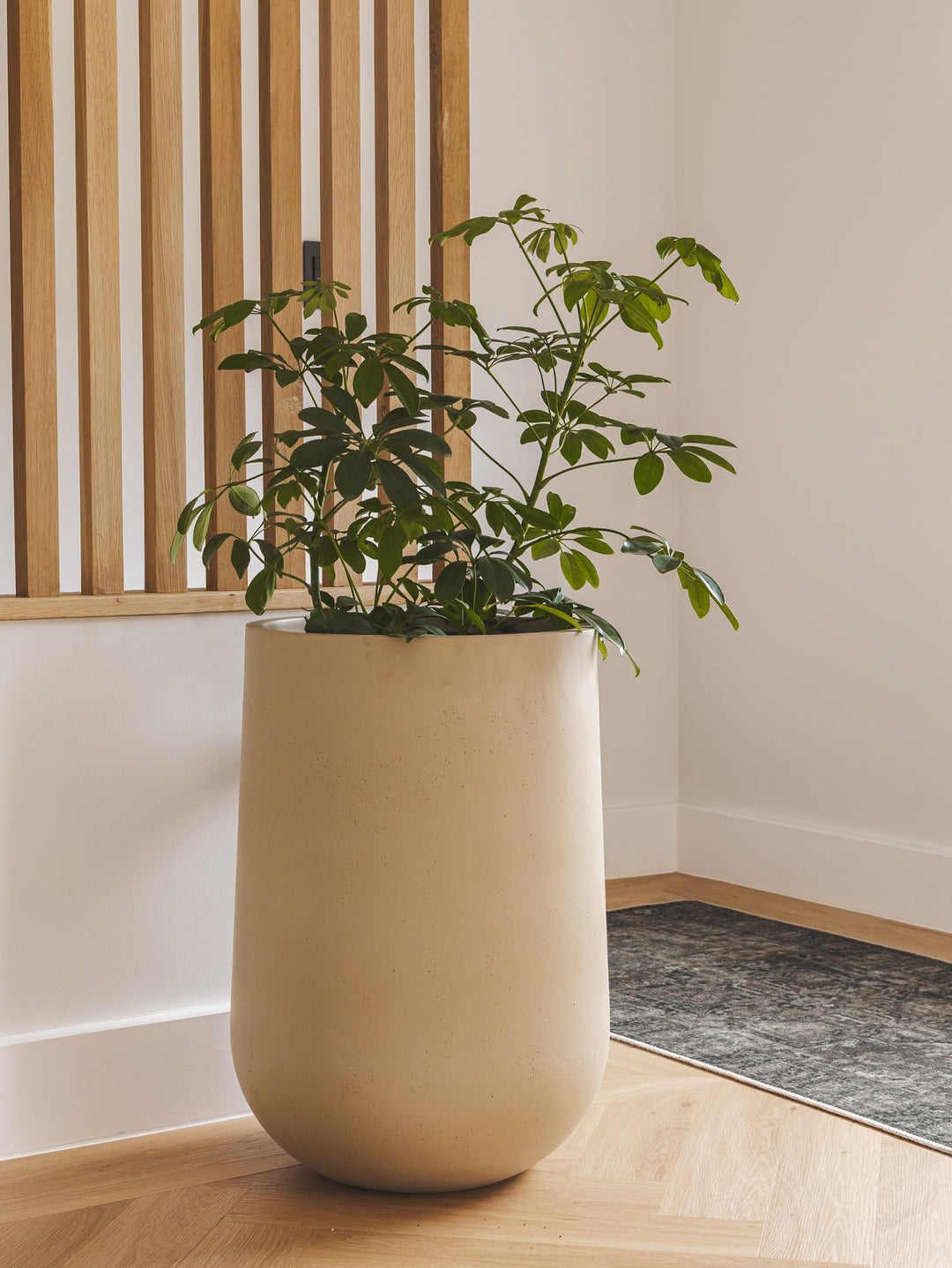 Santa Ana Planter
