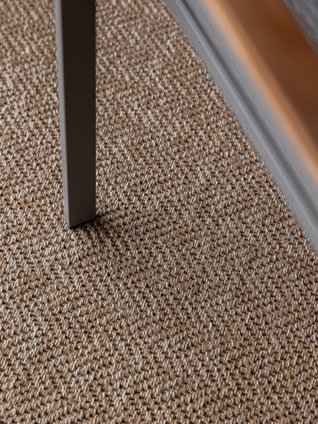 Torra Rug in Dune