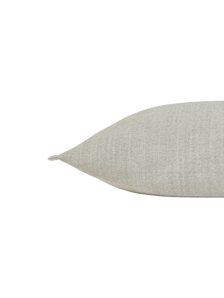 Seeker Scatter in Pumice