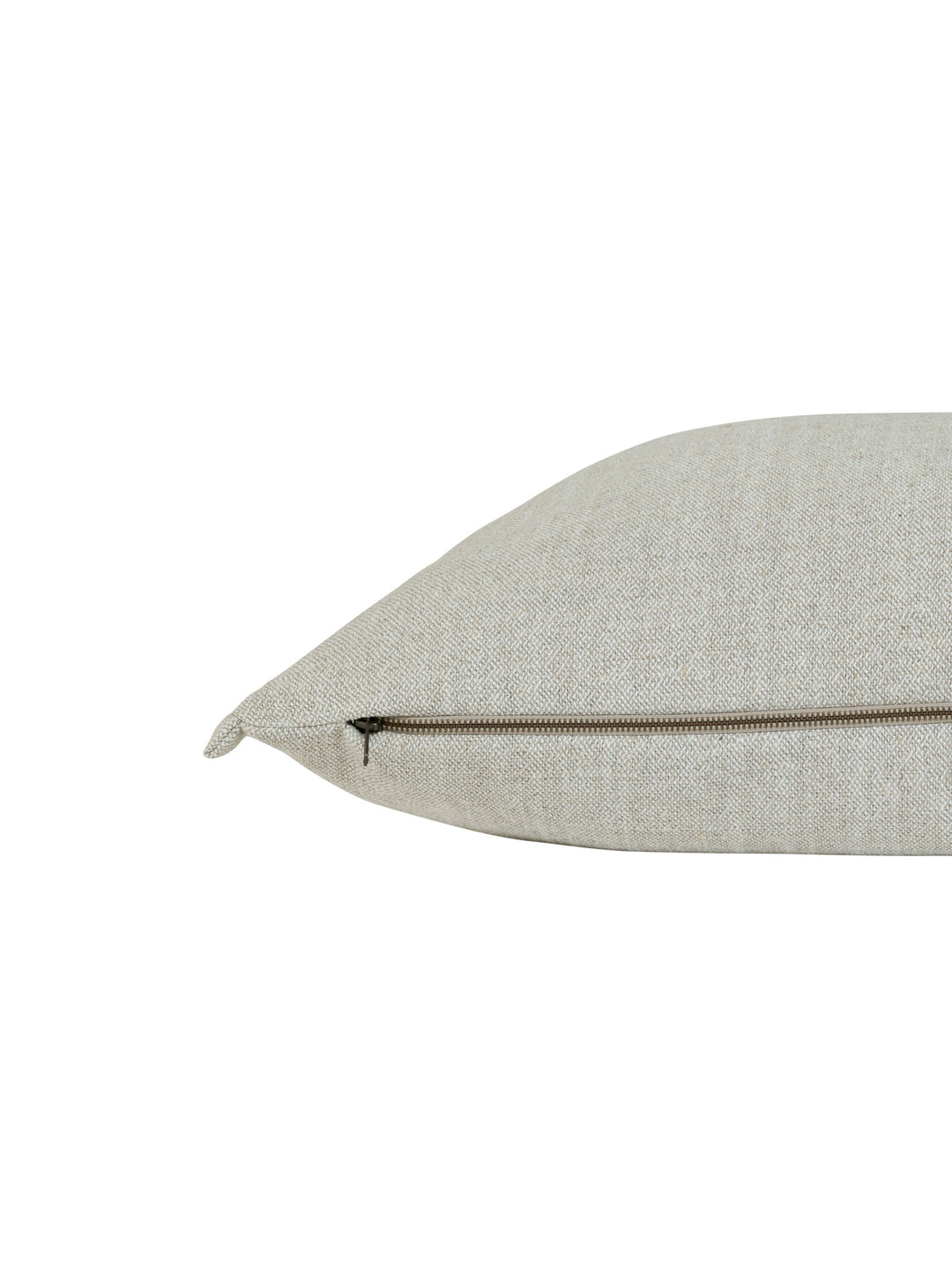 Seeker Scatter in Pumice