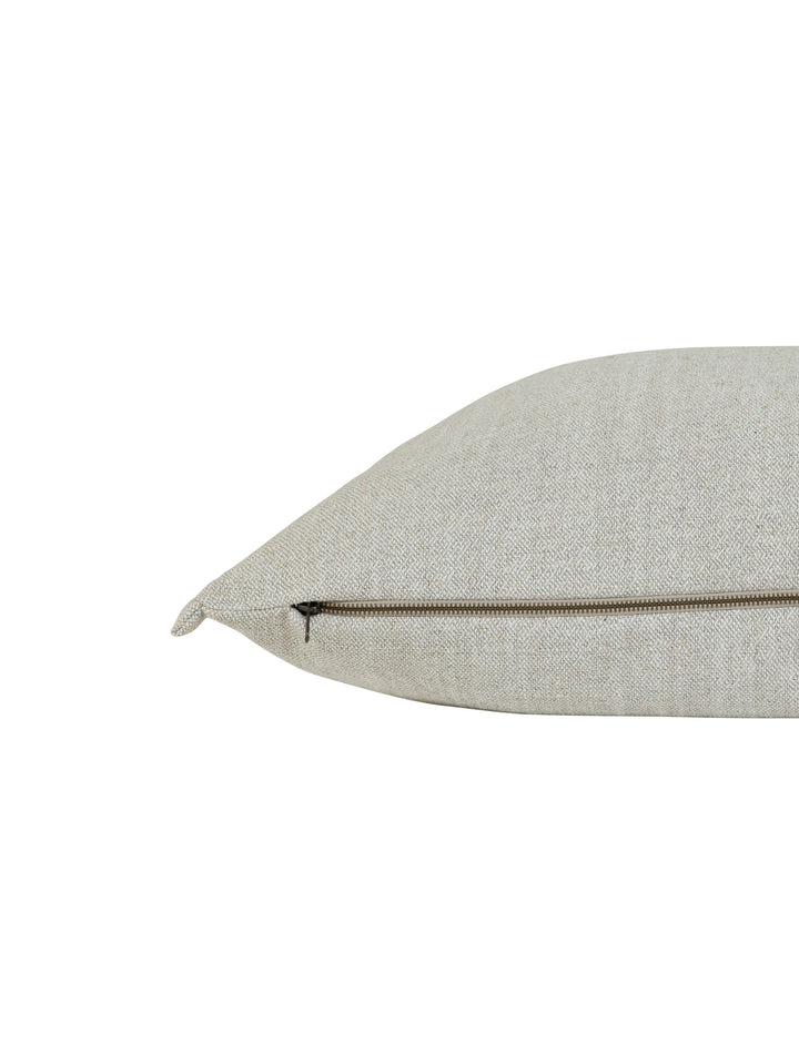 Seeker Scatter in Pumice