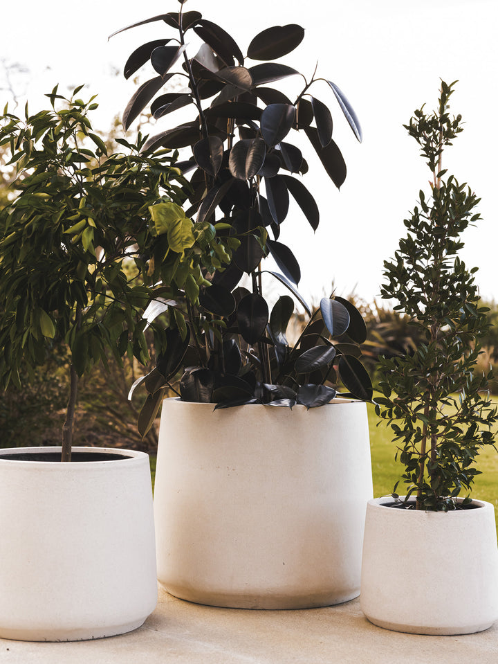 Statue Planter in Salt