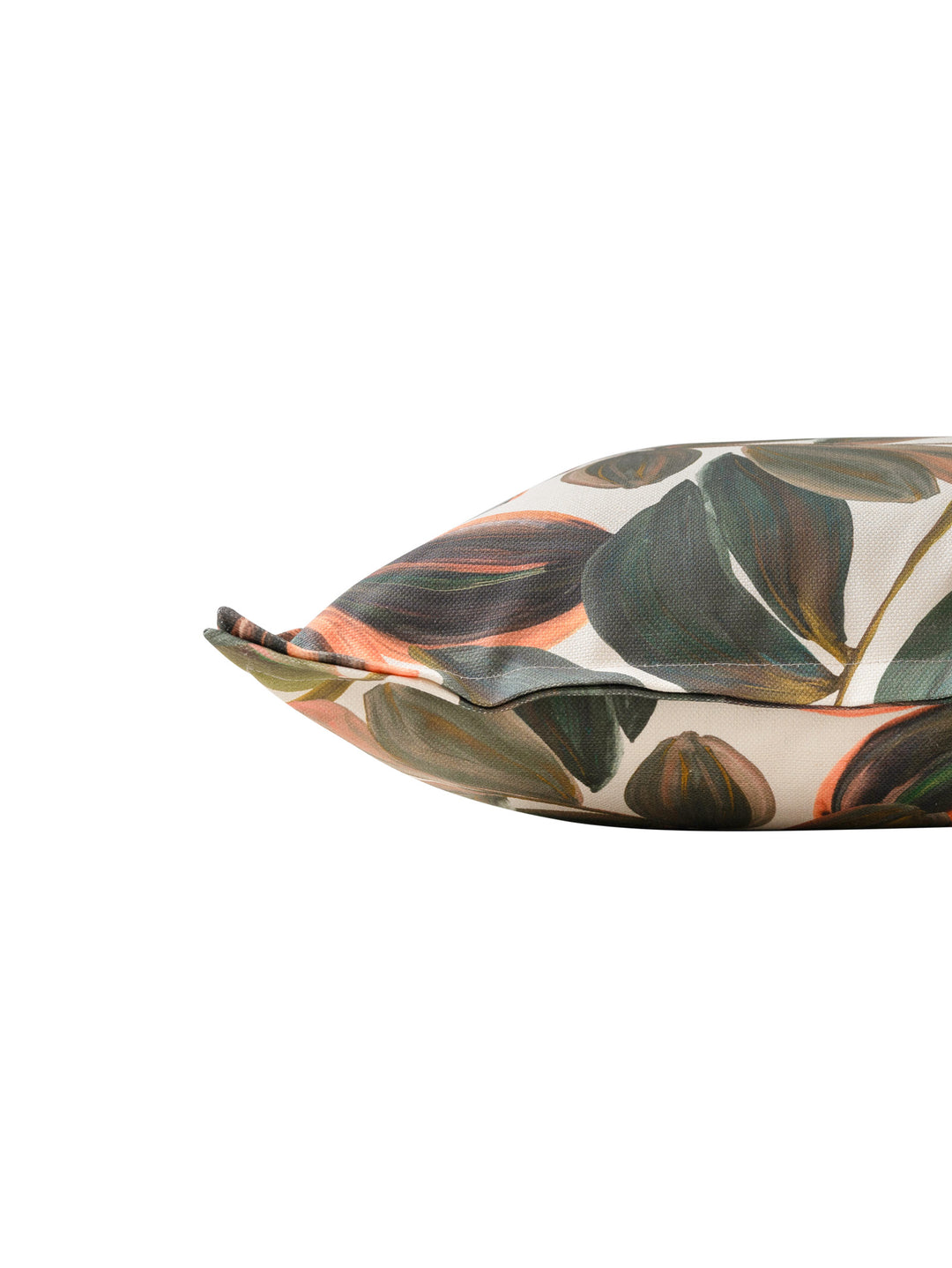 Moro Scatter in Forest