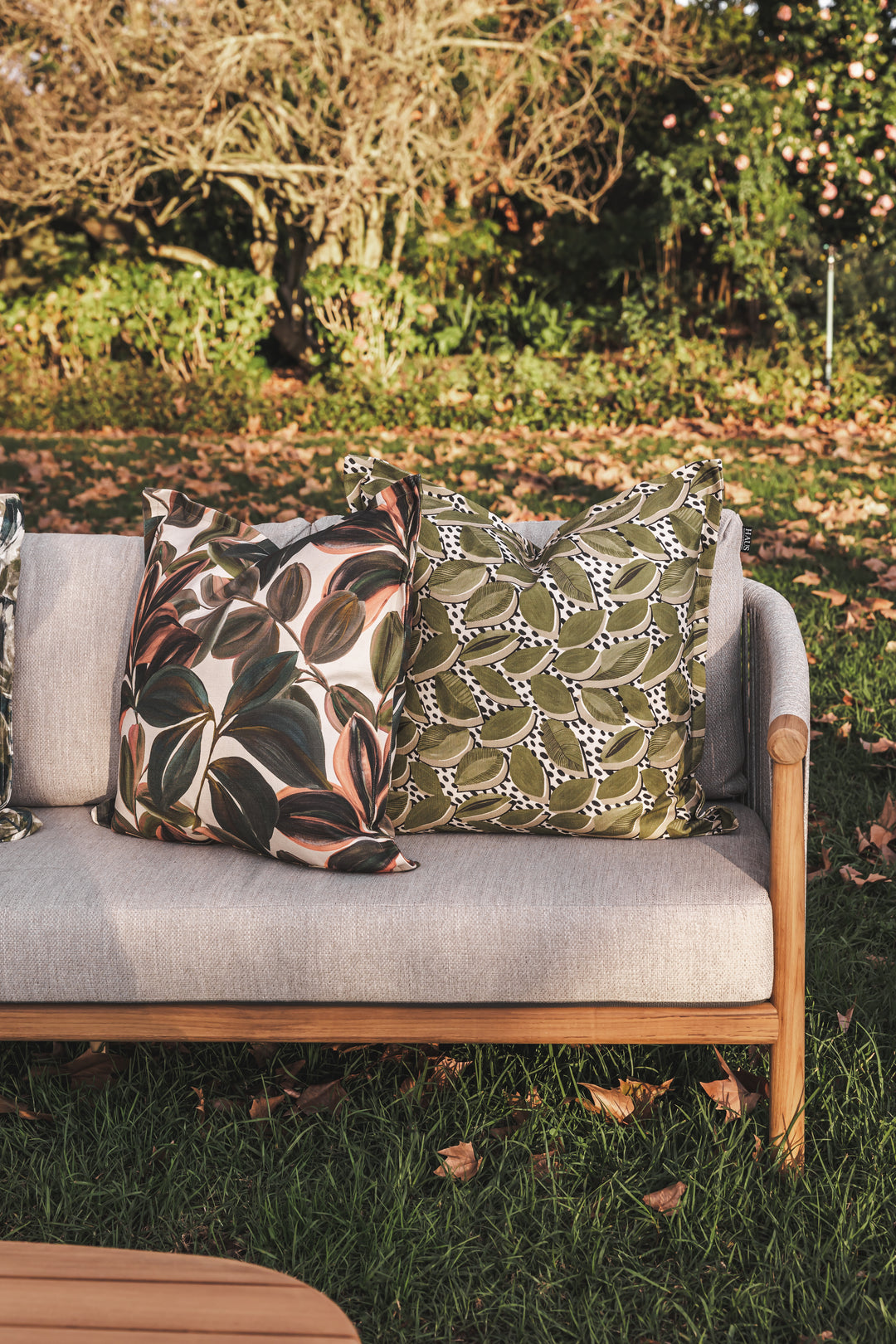 Kilima Scatter in Aloe