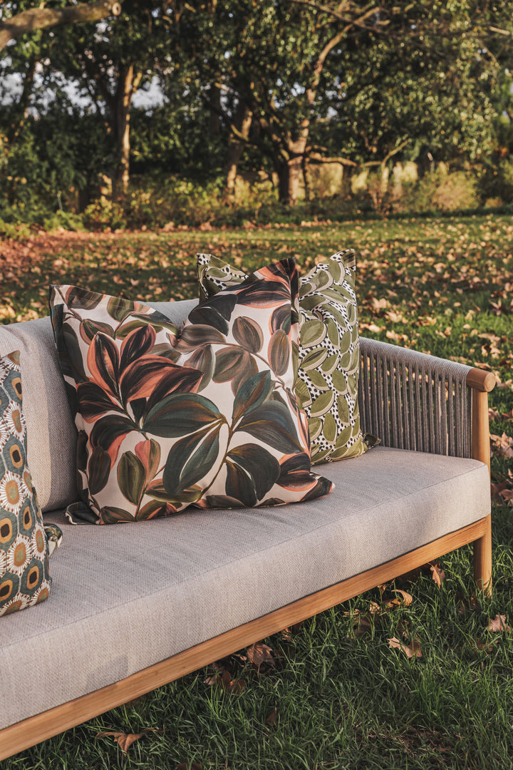 Moro Scatter in Forest