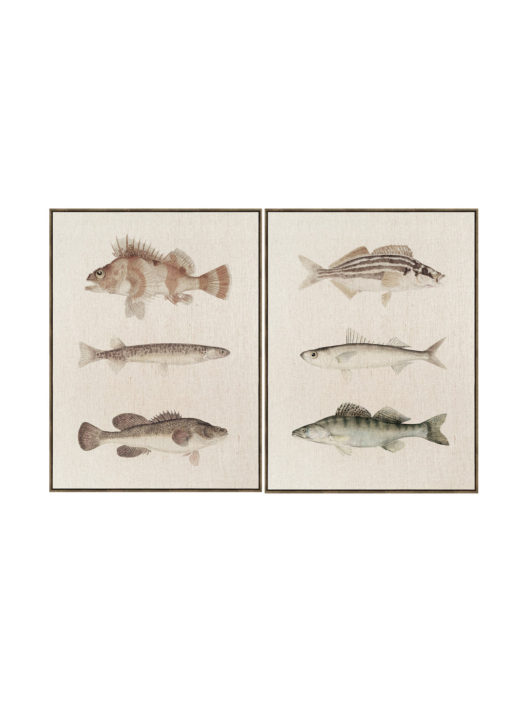 The School of Six Wall Art Set of 2 in Sandy Bay