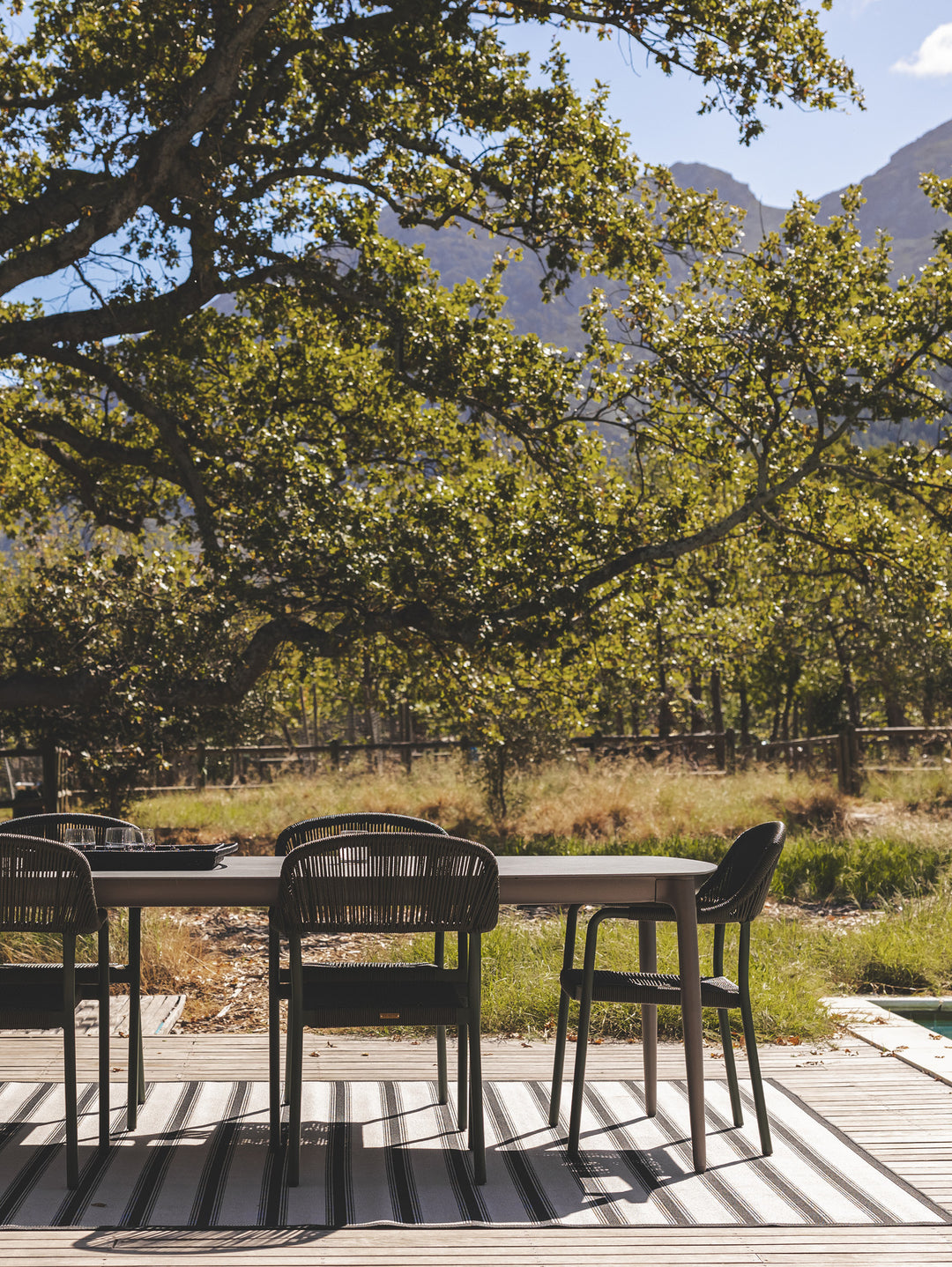 Thea Outdoor Dining Chair