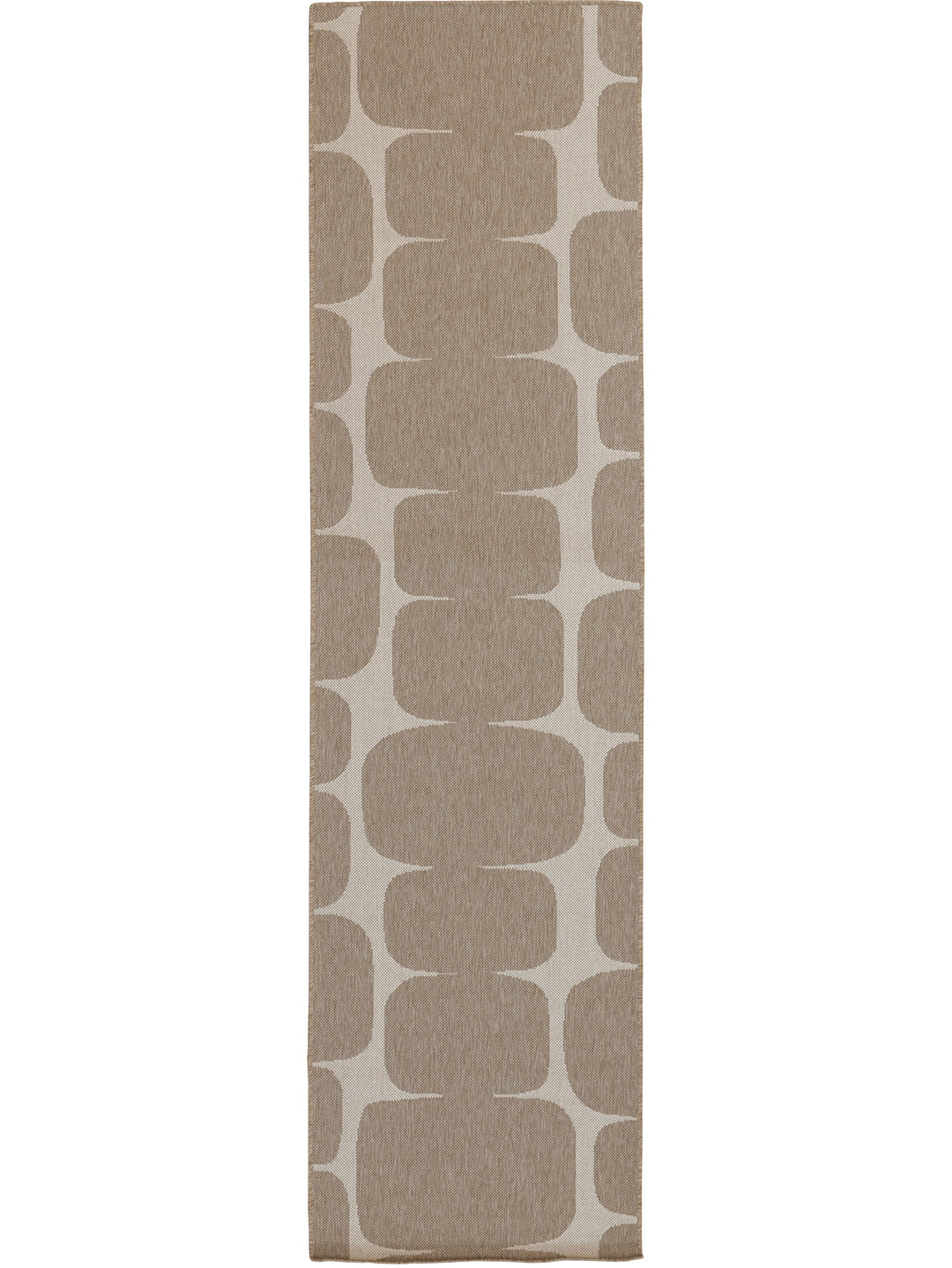 Zira Runner in Desert