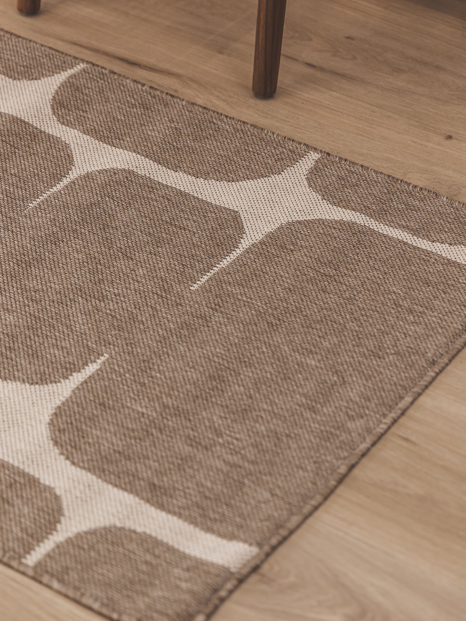 Zira Runner in Desert - Hertex Haus - Hertex Haus