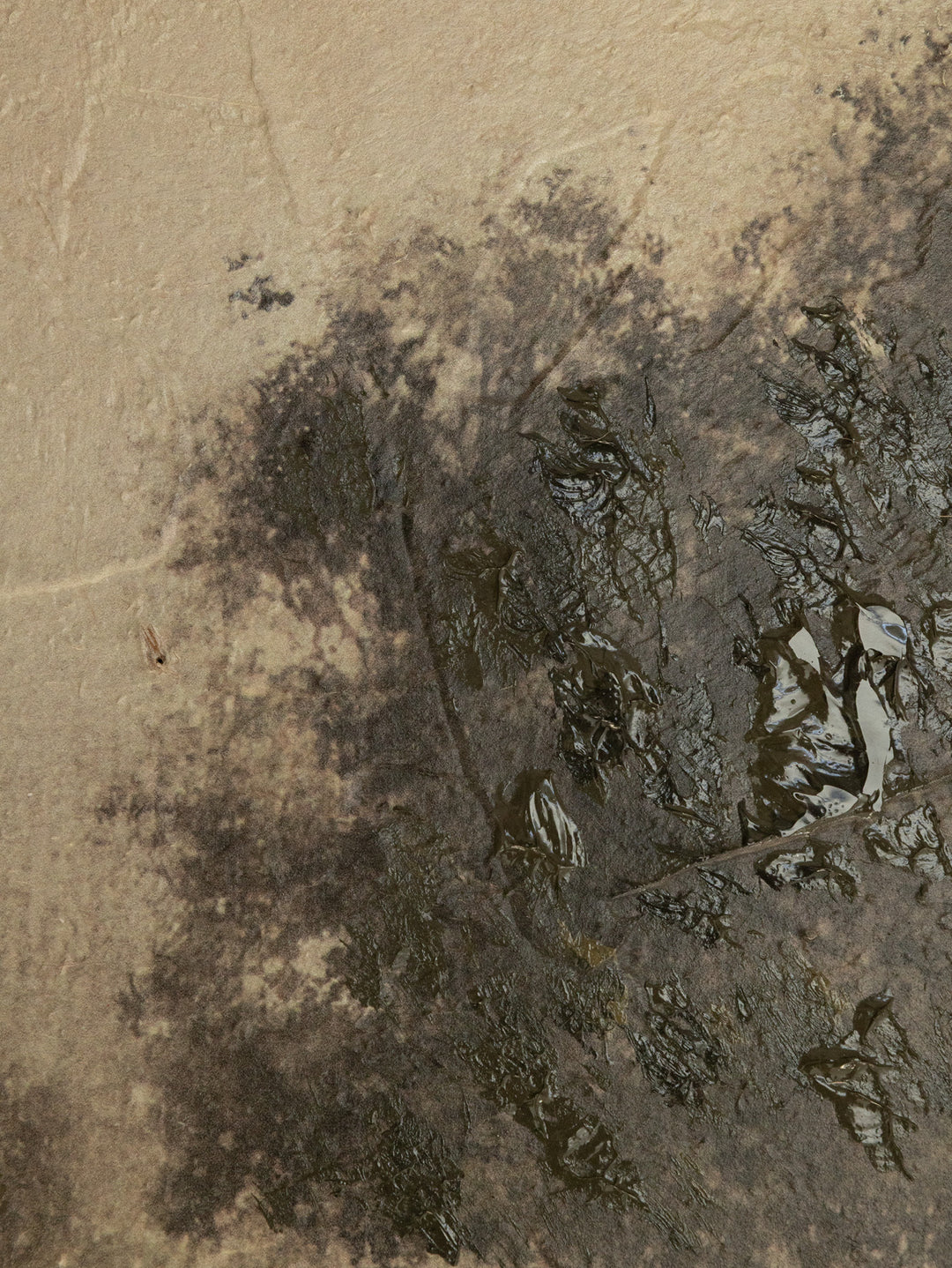 Timeworn Field Wall Art in Sepia