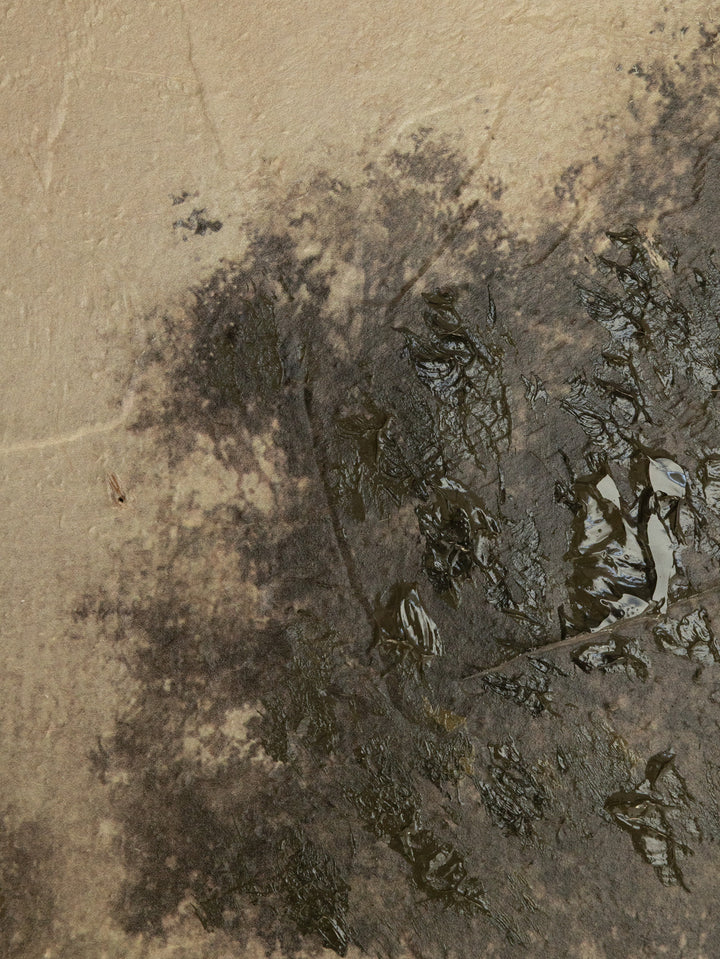 Timeworn Field Wall Art in Sepia