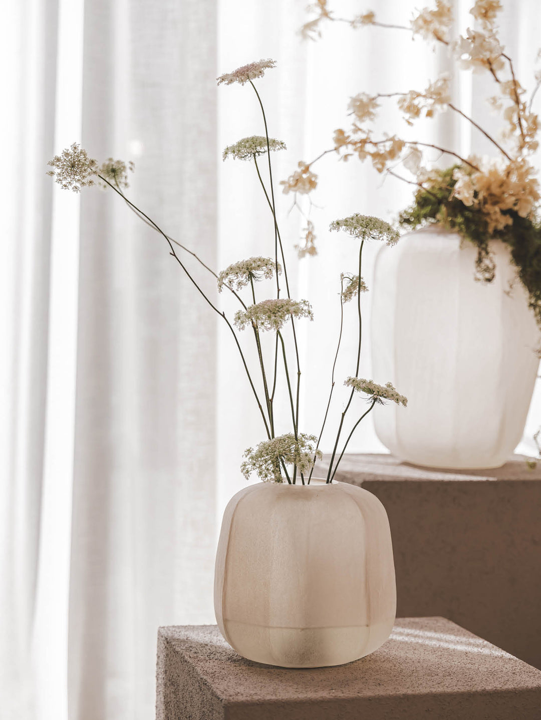 Urchin Vase in Driftwood