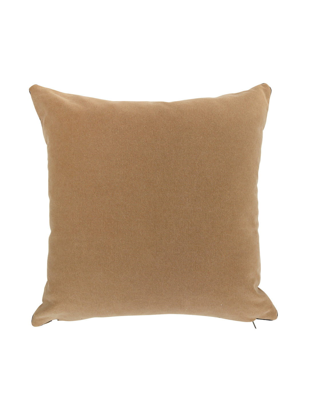 Wagon Trail Scatter in Canyon