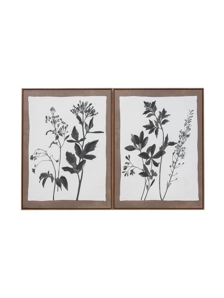 Wild Bloom Wall Art Set of 2 in Shade