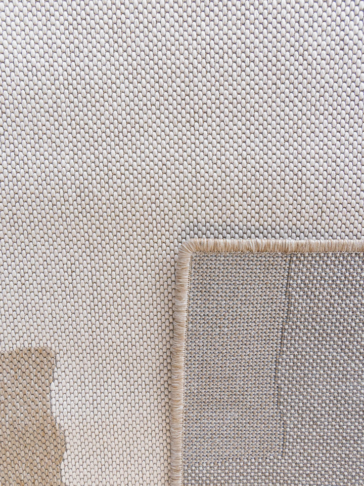 Wander Runner in Savanna