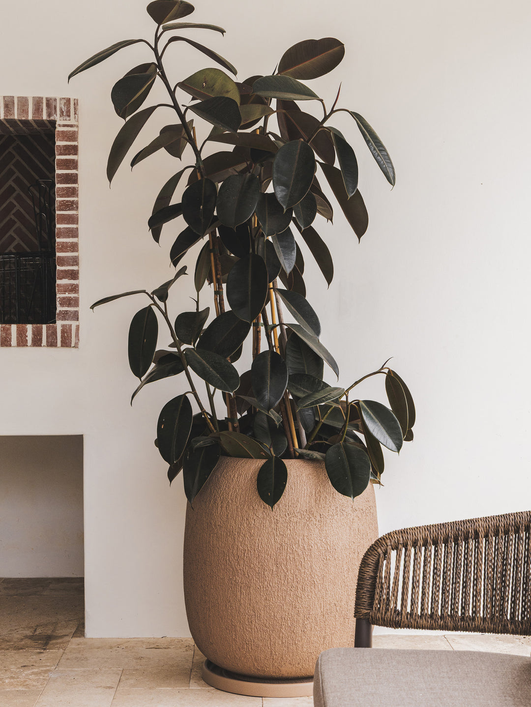Zonda Planter