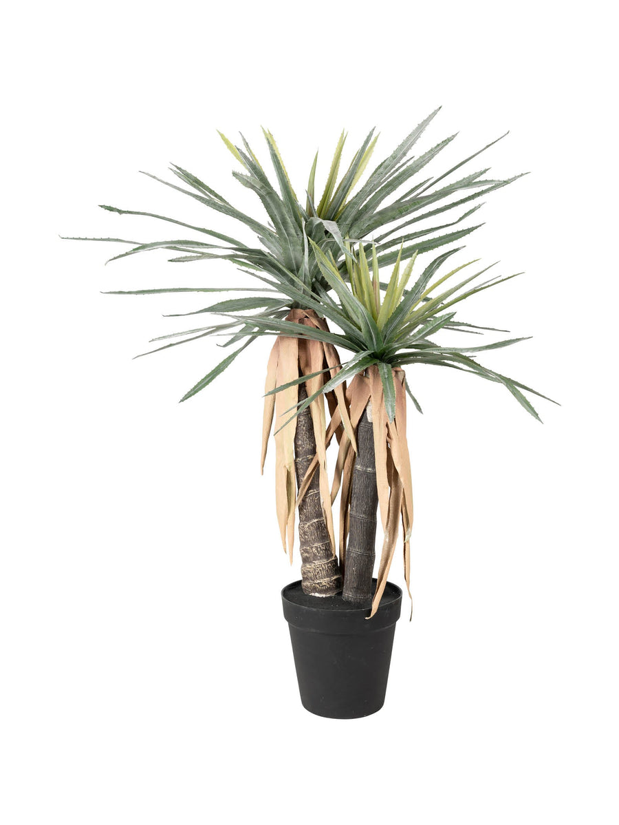 Aloe Faux Plant in Succulent - plants- Hertex Haus Online - Decor
