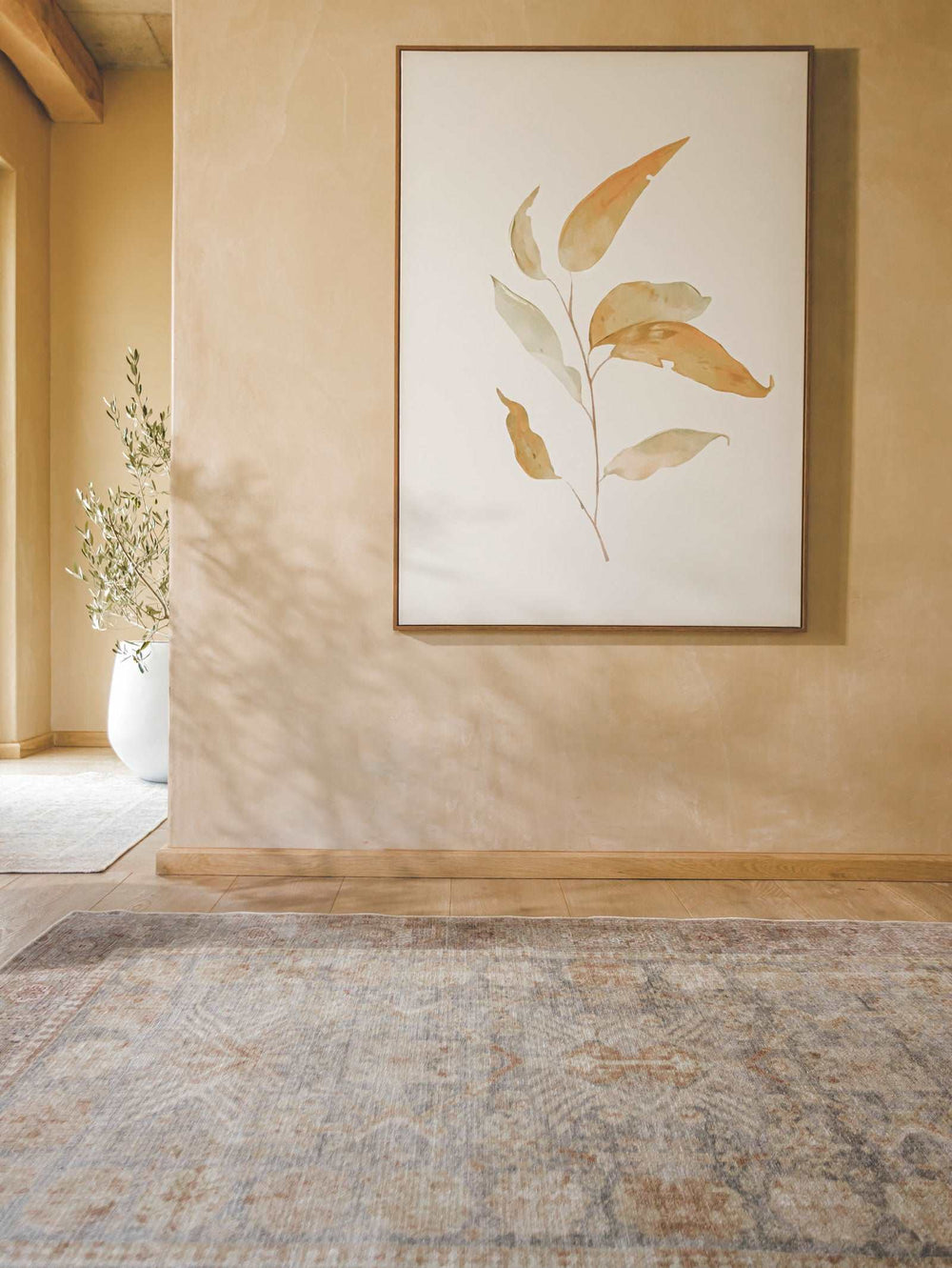 Apollo Rug in Dune - Rugs- Hertex Haus Online - Classic