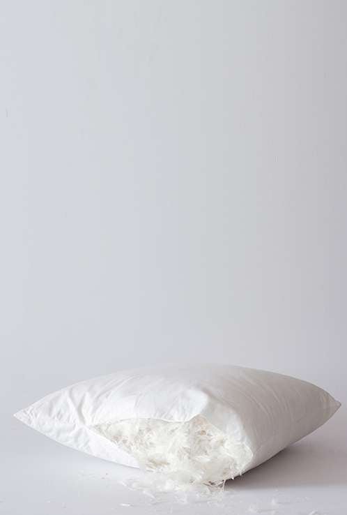 Duck Feather Cushion Inners Set of 2 Hertex Haus Online Hertex Haus