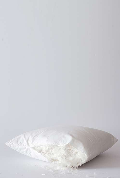 Luxury Feather Pillowcase Inners Set of 2 - Hertex Haus Online - bed & bath