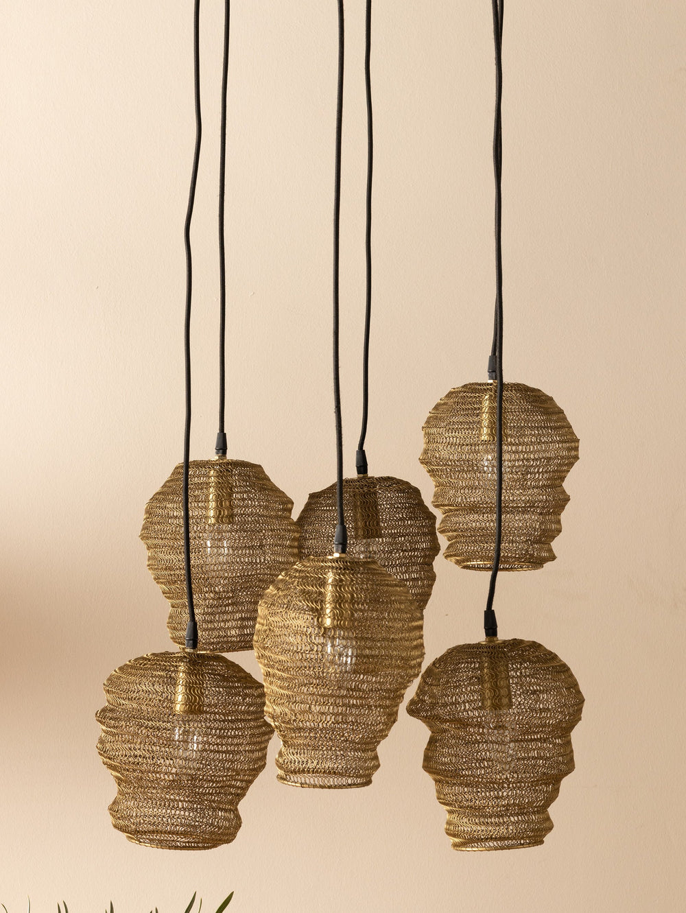 Rookery Pendant in Golden Finch - Lighting- Hertex Haus Online - Black Friday 2023