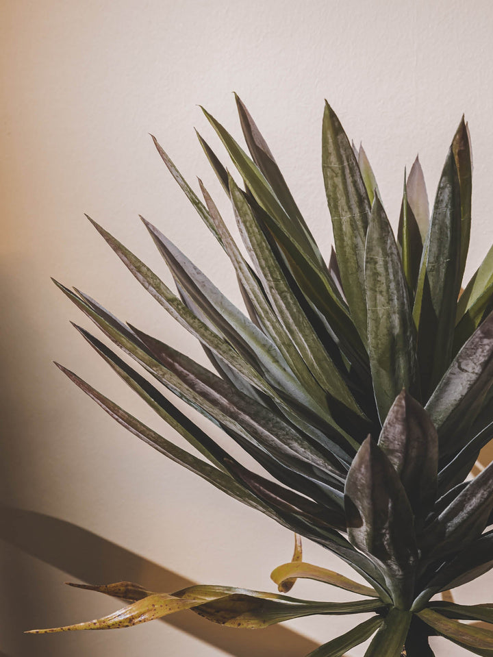 Yucca Faux Plant in Greenery - plants- Hertex Haus Online - Decor